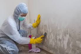 Best Mold Odor Removal Services  in Doa Ana, NM